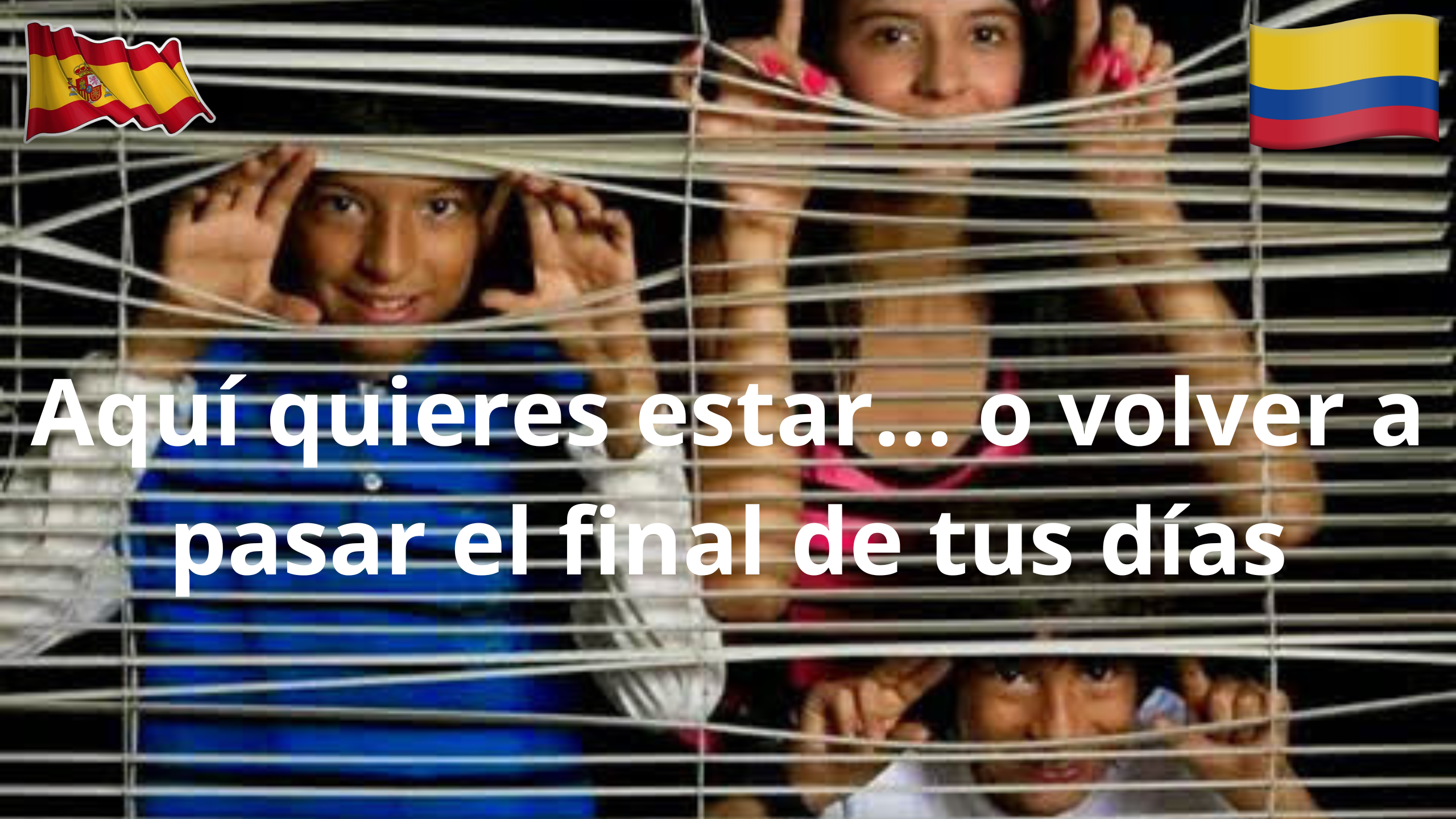 🏠 Tener casa propia: más que ladrillos, una declaración de permanencia