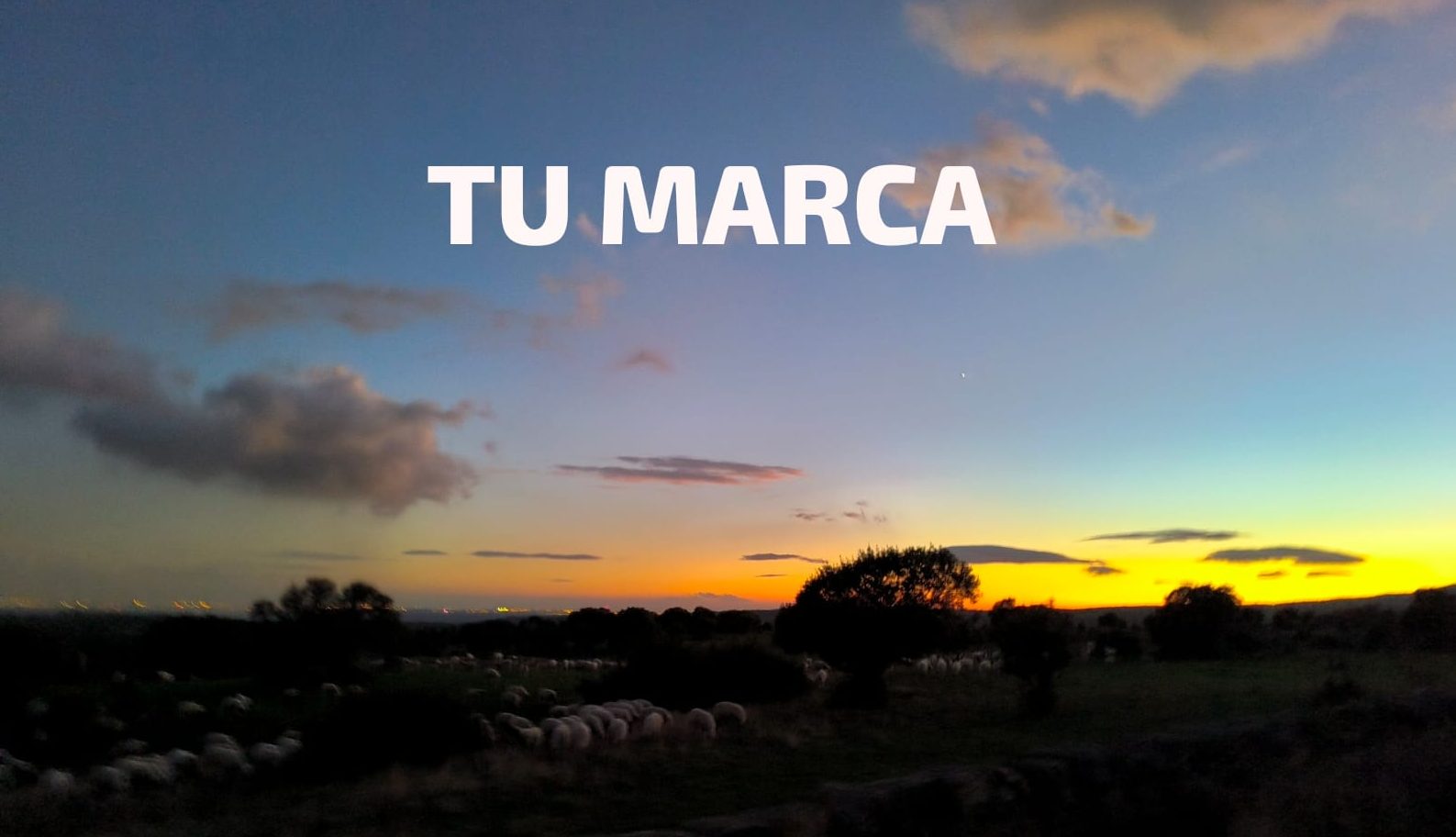 La Ubicación Ideal para Tu Marca
