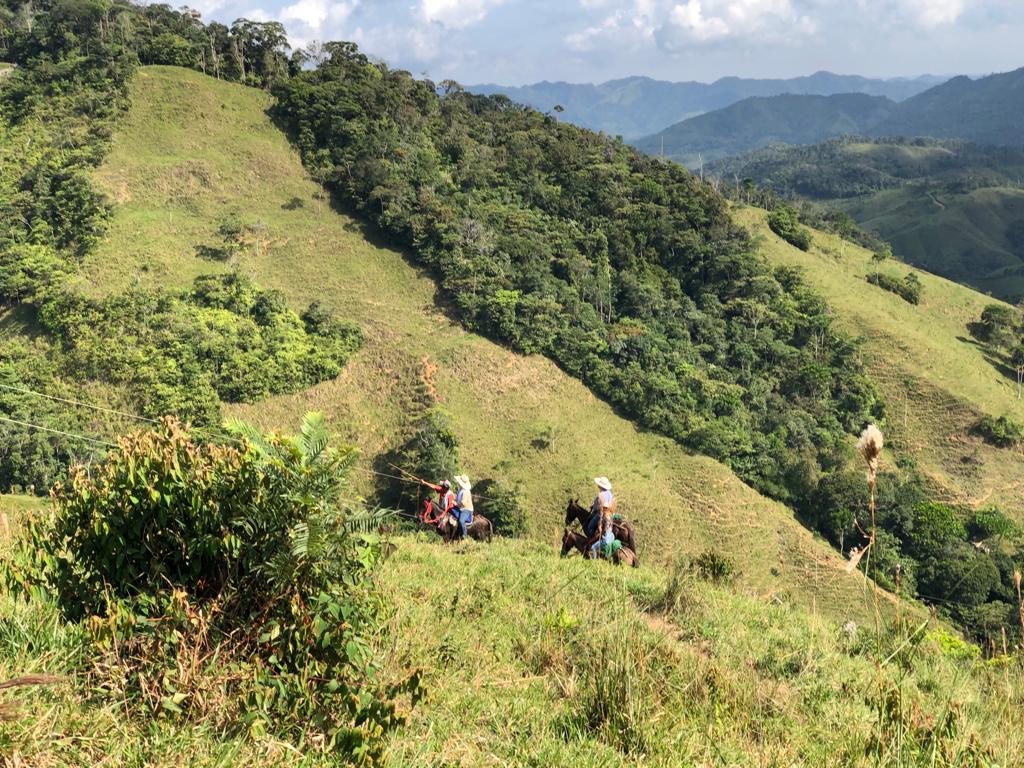 Finca en Venta en San Carlos Antioquia